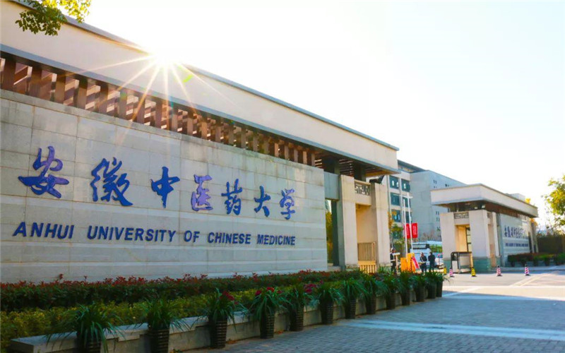 安徽中医药大学2025地方专项分数线和计划