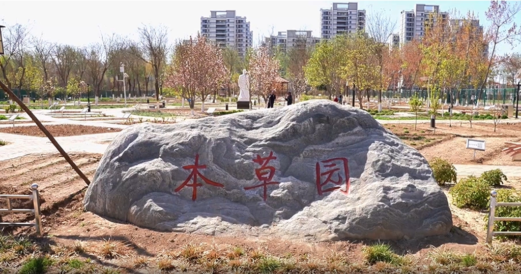 河北化工医药职业技术学院中药学专业录取分数线：368分-455分