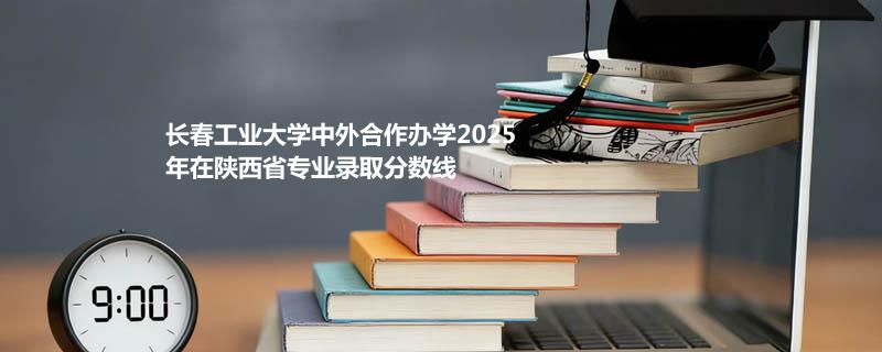 长春工业大学中外合作办学2025在陕西专业最低分 